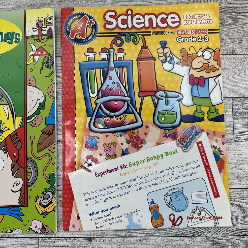 WORKBOOKS Lot of 2 Fun Skill Builders - Science Insects Bugs - Grades 2-3 - NEW - Picture 14 of 15